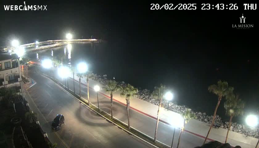 A nighttime view of a coastal road lined with palm trees and lit by streetlights, overlooking a calm body of water.