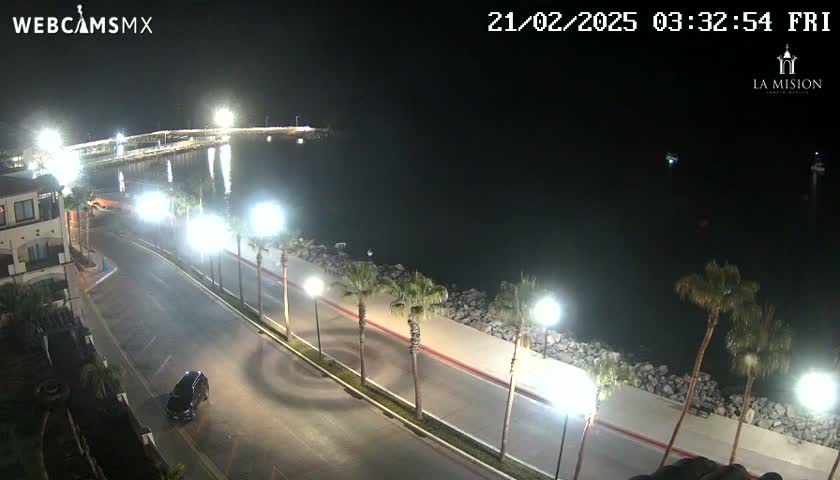 A nighttime, coastal scene shows a paved road curving along a rocky shoreline lined with palm trees and lit by streetlights, with a dark body of water and a distant pier visible in the background.
