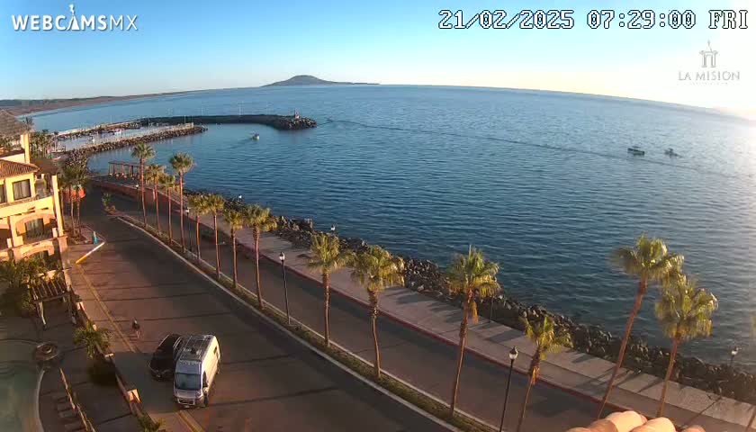 An aerial view shows a calm ocean next to a paved road lined with palm trees, a small marina, and a building in the early morning light.