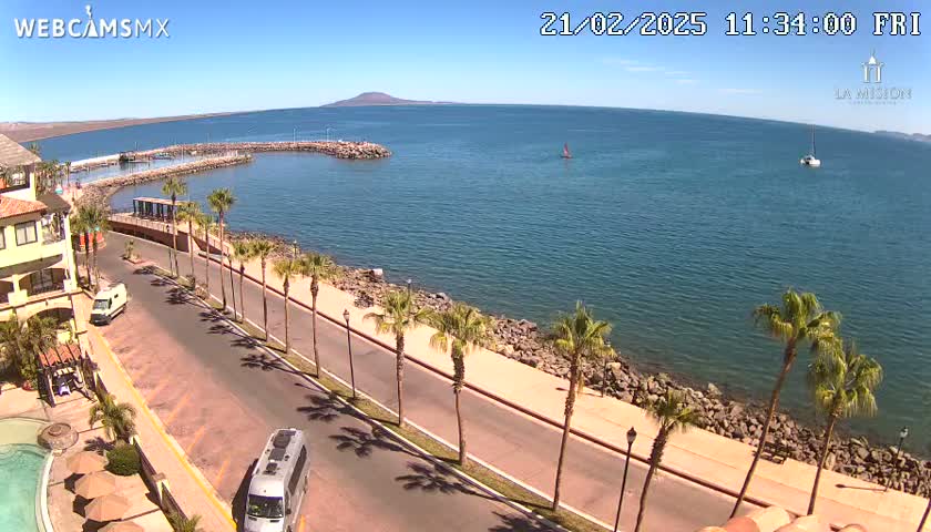 A seaside road lined with palm trees curves along a calm, blue bay under a clear, sunny sky.