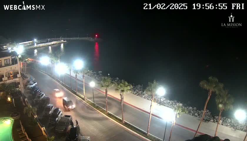 A nighttime, coastal highway scene shows palm trees lining a road next to a calm body of water, with cars parked and driving along the road.