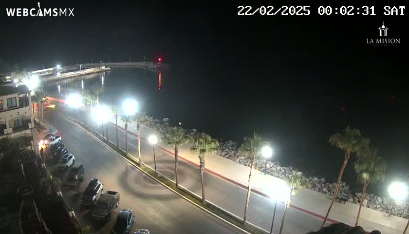 A nighttime, high-angle view shows a paved road curving alongside a body of dark water, lined with palm trees and streetlights, and a parking lot with several cars parked.