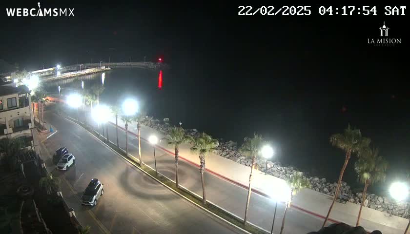 A nighttime aerial view of a seaside road lined with palm trees, with a few cars parked along the side, under a clear, dark sky.