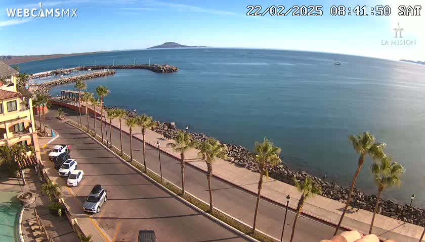 A seaside road lined with palm trees overlooks a calm ocean with a small island in the distance under a clear, sunny sky.