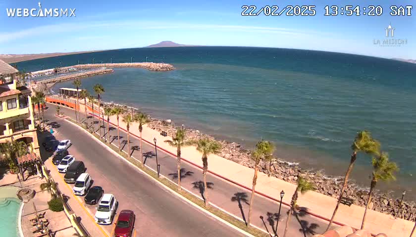 A sunny seaside road with parked cars leads to a calm, blue ocean with a small, rocky harbor and palm trees lining the walkway.