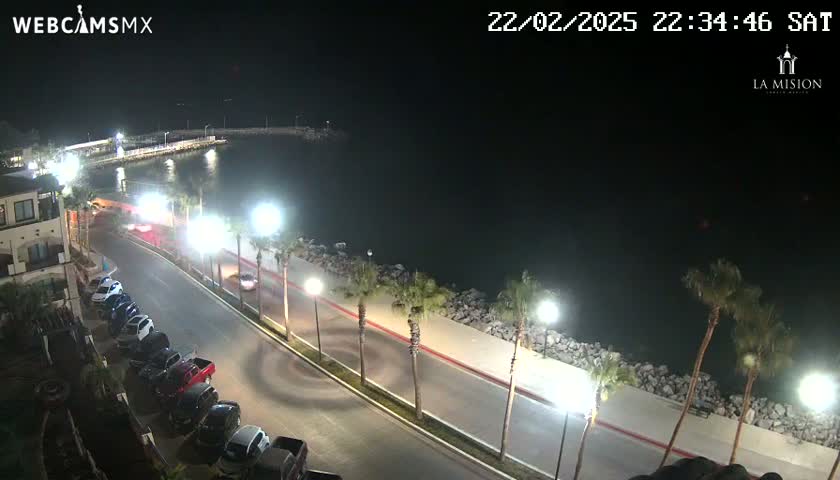 A nighttime aerial view shows a coastal road curving along a waterfront lined with palm trees and parked cars, under a clear sky.
