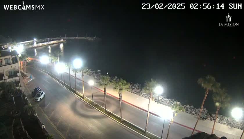 A nighttime, seaside view of a paved road lined with palm trees, streetlights, and parked cars, next to a calm body of water.