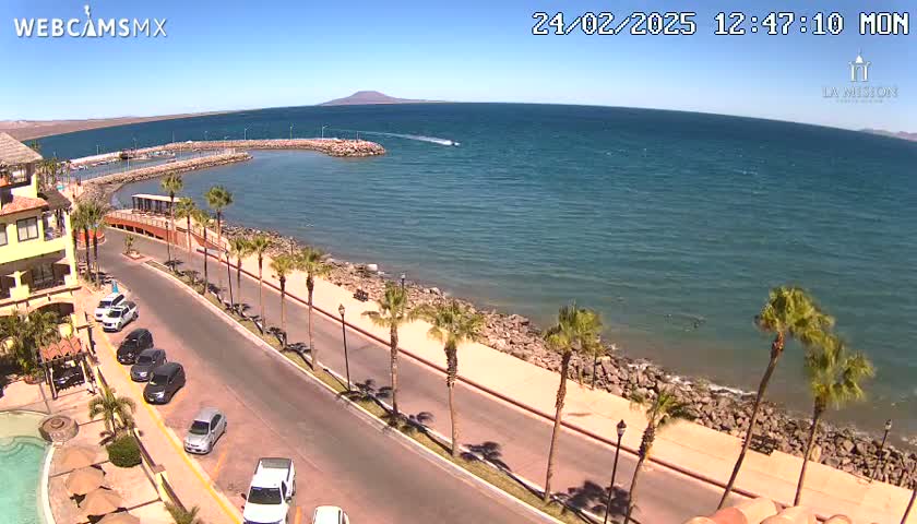 A sunny day shows a coastal road lined with palm trees next to a calm ocean with a small marina; several cars are parked along the road.