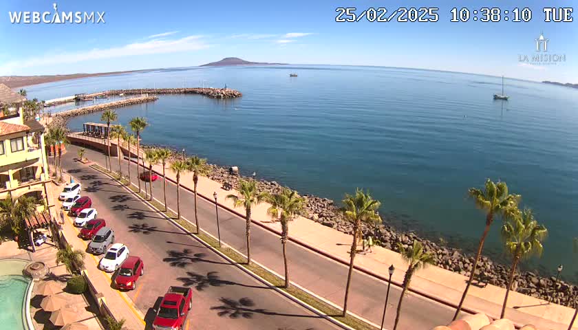 A coastal road lined with palm trees overlooks a calm, blue ocean with a distant mountain under a clear, sunny sky; several cars are parked along the road.