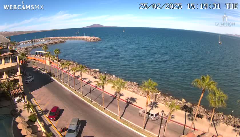 A coastal road lined with palm trees overlooks a calm, blue ocean with a small marina and a distant mountain under a sunny sky.