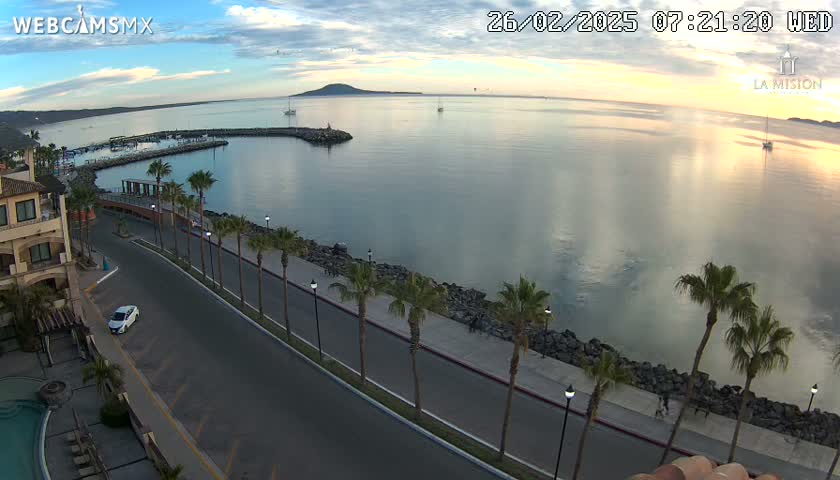 A calm bay with a marina at sunrise, viewed from an elevated position overlooking a palm-tree-lined roadway next to a resort.