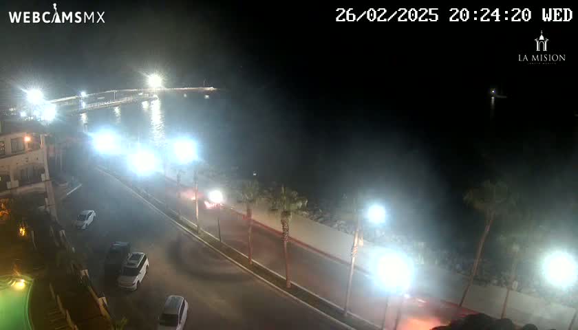 A nighttime, hazy view of a coastal road with several cars and palm trees, brightly lit by streetlights, overlooking a dark body of water with lights in the distance.