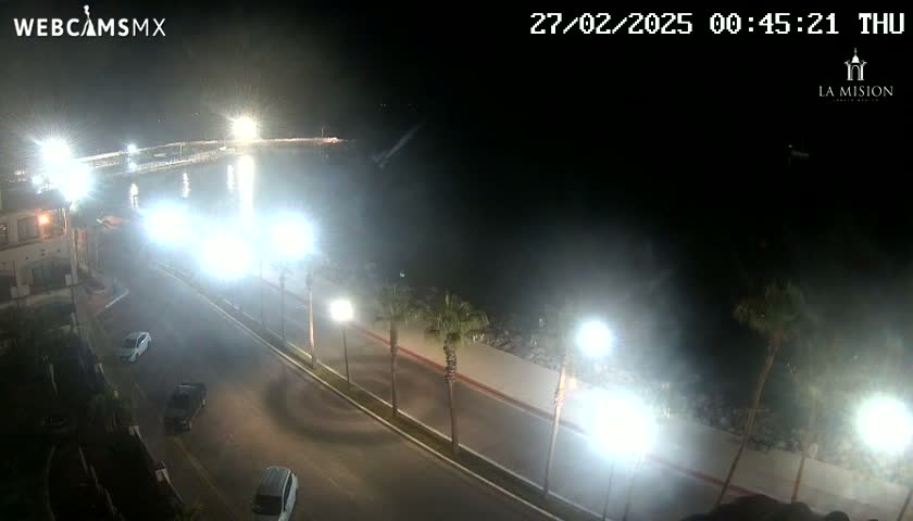 A nighttime, high-angle view shows a coastal road with cars and palm trees, brightly lit by streetlights, next to a dark body of water under hazy conditions.