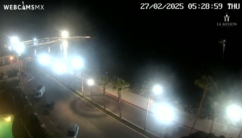 A nighttime view of a coastal road with palm trees and bright streetlights, overlooking a calm body of water.