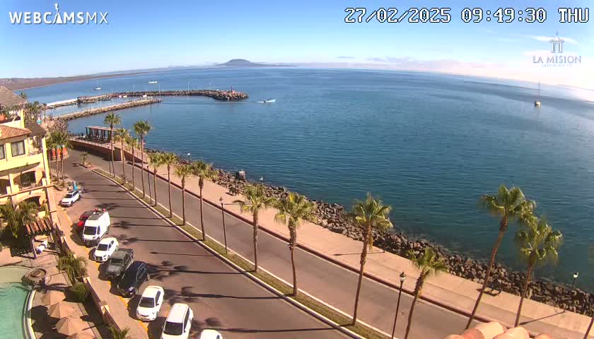 A sunny day overlooking a calm bay with a paved road lined with palm trees leading to a harbor, and cars parked along the roadside.