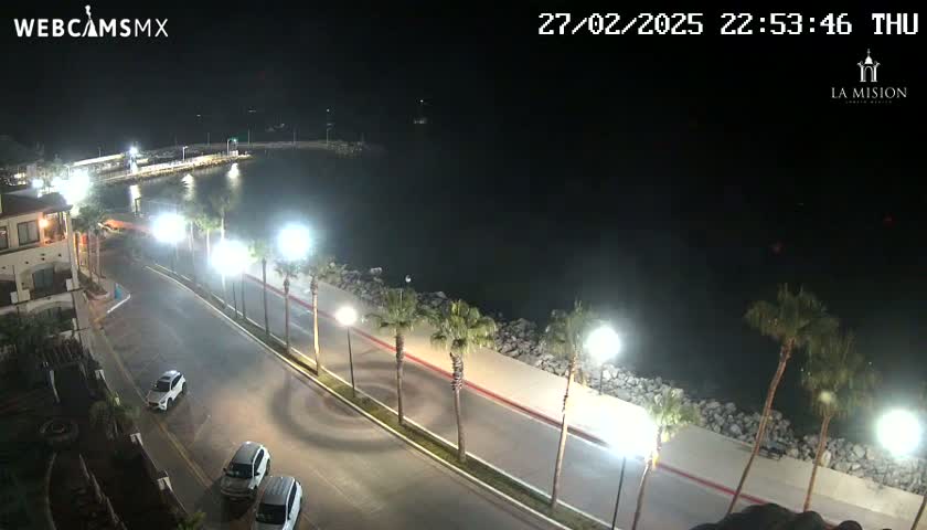 A nighttime, high-angle view shows a palm-tree lined roadway next to a calm body of water, with a few cars parked along the road and buildings visible in the background.