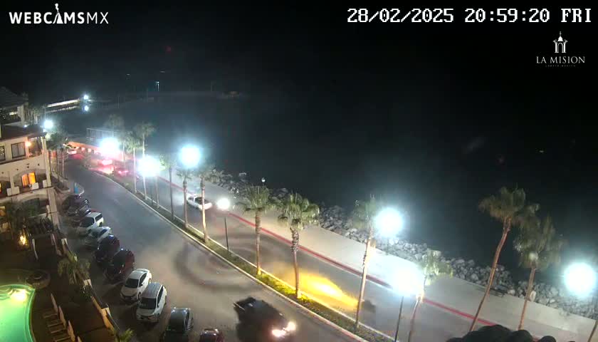 A nighttime, high-angle view shows a coastal road lined with palm trees and parked cars, with a dark body of water visible beyond a seawall.