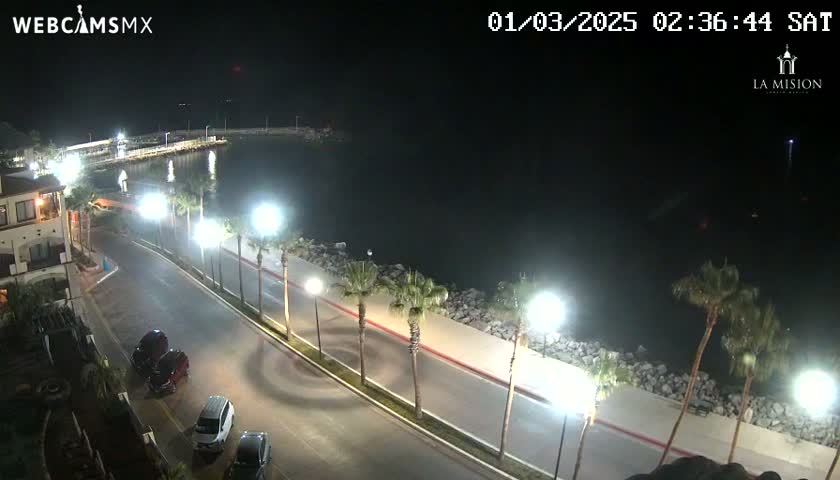 A nighttime, coastal road scene shows a dark body of water, palm trees lining a paved road with parked cars, and buildings in the background under bright streetlights.