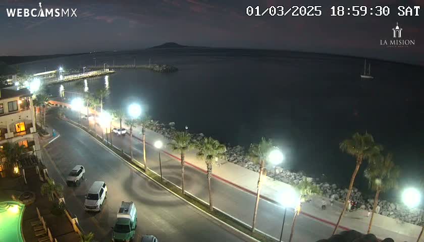 A nighttime view of a coastal town shows a road curving along a waterfront lined with palm trees and streetlights, with a few cars parked and driving along the road.