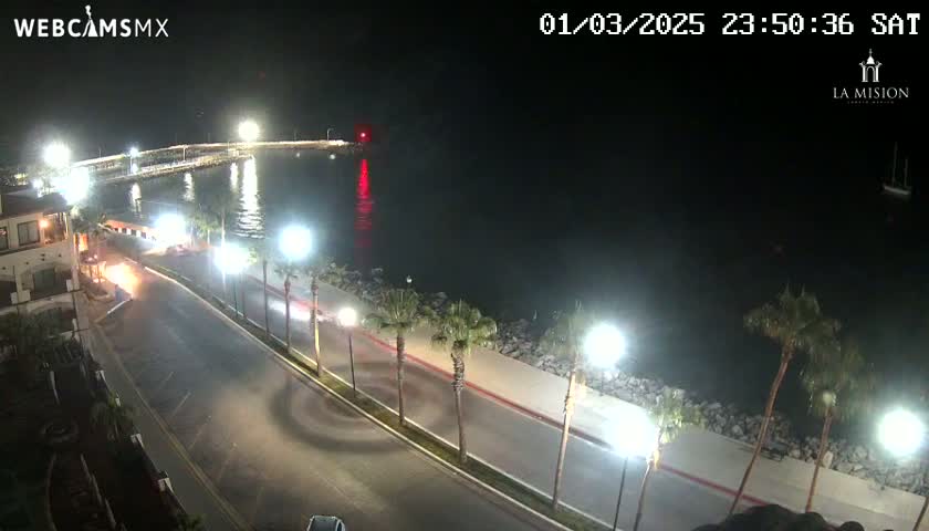 A nighttime, coastal highway scene shows a few cars driving along a road lined with palm trees next to a calm body of water and a pier.