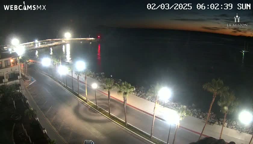 A nighttime coastal scene shows a roadway lined with palm trees alongside a calm body of water under a twilight sky.