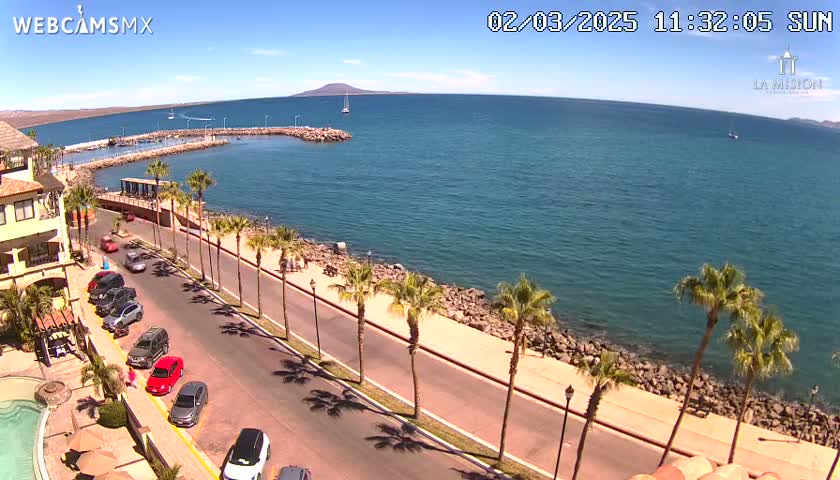 A sunny coastal scene shows a road lined with palm trees next to a calm ocean with a small marina and a distant mountain visible in the background.