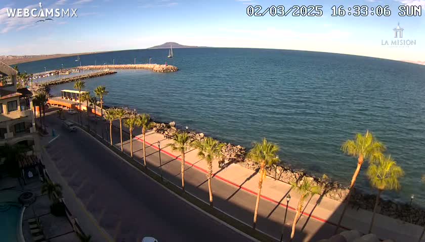 A seaside road lined with palm trees stretches alongside a calm, blue ocean under a clear, sunny sky, with a small marina and distant mountains visible.