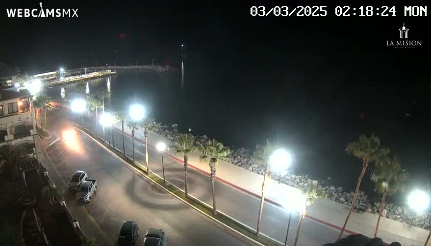 A nighttime, seaside view shows a paved road lined with palm trees and streetlights, with a few cars parked along the side, and a dark body of water in the background.