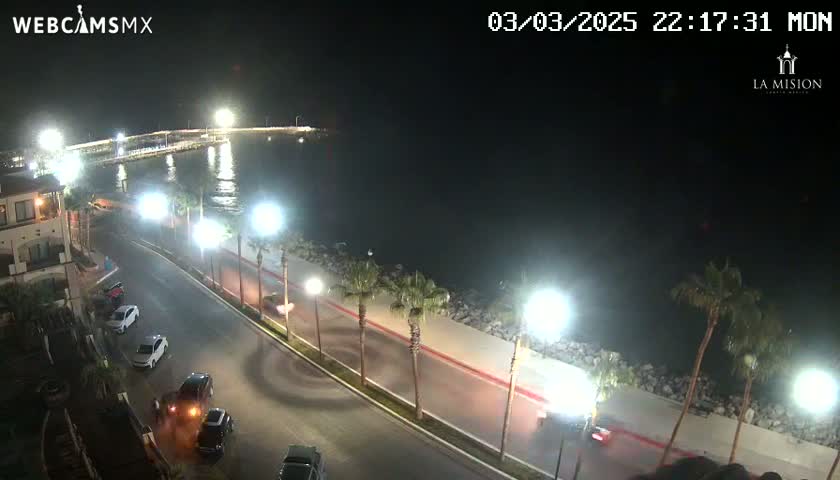 A nighttime, coastal scene shows a road curving along a waterfront lined with palm trees and streetlights, with several cars visible, and a pier in the distance.