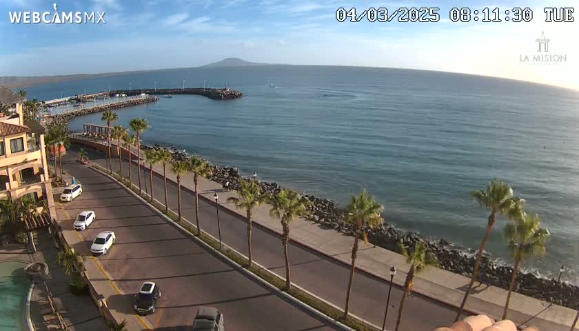 A seaside road lined with palm trees curves along a calm ocean, under a clear blue sky.