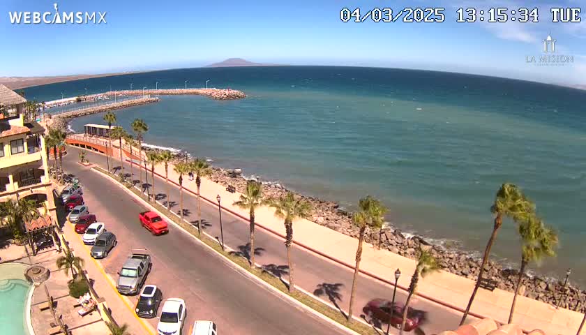 A sunny coastal scene shows a road lined with palm trees next to a calm ocean, with a small marina and buildings visible in the distance.