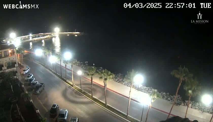 A nighttime, coastal scene shows a paved road lined with palm trees next to a calm body of water under bright streetlights.
