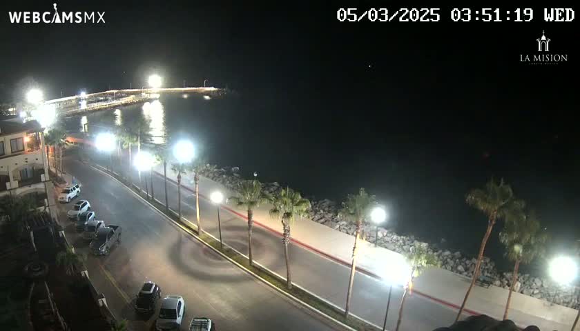 A nighttime, aerial view shows a paved road lined with palm trees beside a calm body of water, with cars parked along the roadside and a pier faintly visible in the distance under bright lights.