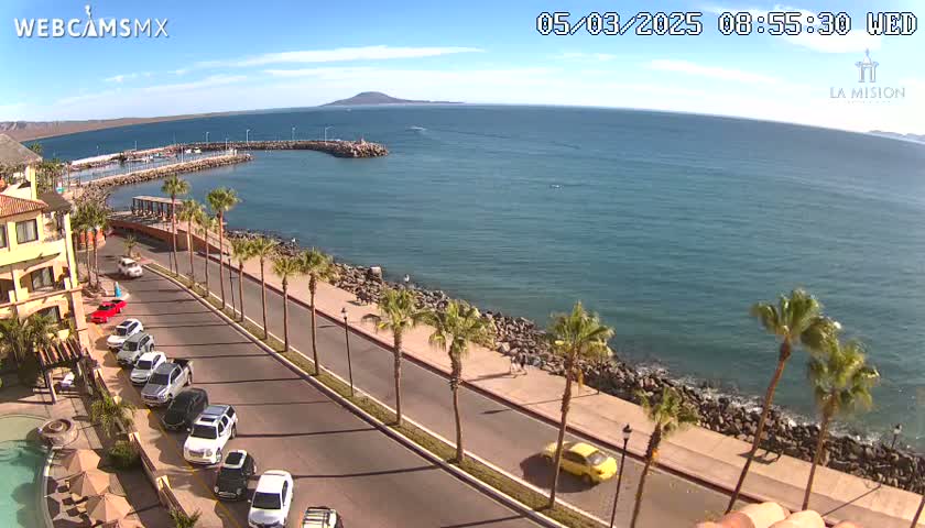 A seaside road lined with palm trees overlooks a calm blue ocean with a small island in the distance under sunny skies.