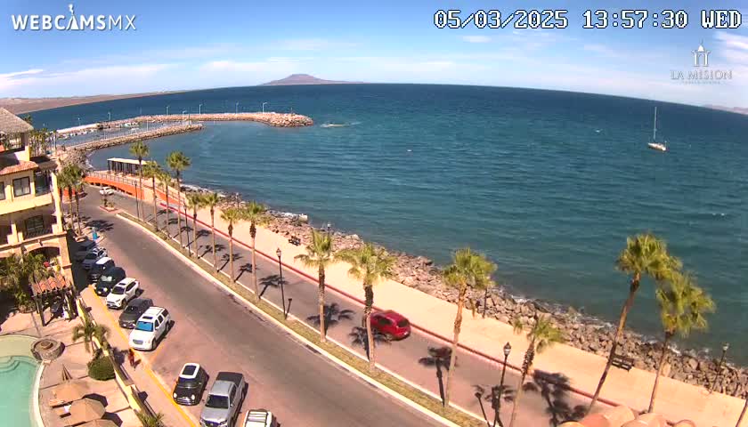 A seaside road lined with palm trees overlooks a calm blue ocean on a sunny day, with a small marina and a few parked cars visible.
