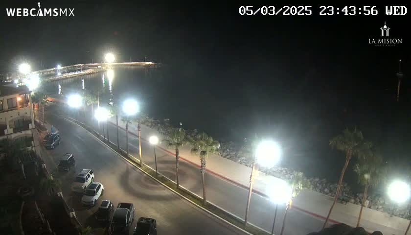 A nighttime, high-angle view shows a palm tree-lined street next to a body of water, with cars parked along the side of the road and a few cars driving down the road.