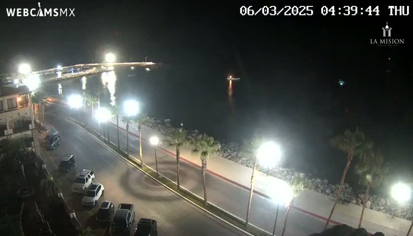 A nighttime, coastal scene shows a road lined with palm trees and parked cars beside a body of water, with lights illuminating the area.