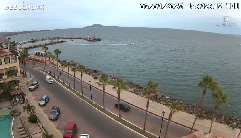 A coastal road with palm trees lines a calm ocean under an overcast sky, with several cars parked and driving along the road.
