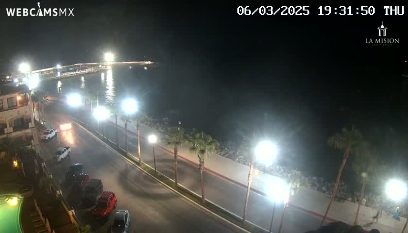 A nighttime, seaside street scene shows a roadway curving along a shoreline, lined with palm trees and streetlights, with parked cars and a few moving vehicles visible.