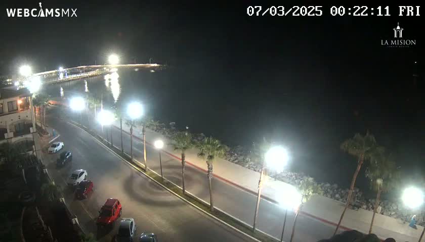 A nighttime, seaside street scene shows a roadway lined with palm trees and streetlights, with several cars parked along the side and a few driving on the road, next to a calm body of water.