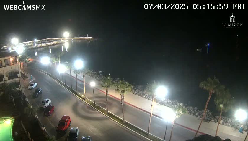 A nighttime coastal scene shows a paved road lined with palm trees next to a body of water, with cars parked along the roadside and a building in the upper left corner under a clear, dark sky.