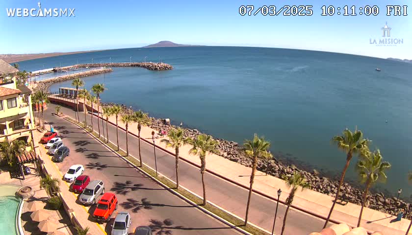 A coastal road lined with palm trees curves along a calm, blue ocean on a sunny day, with cars parked along the roadside and a small marina visible in the distance.