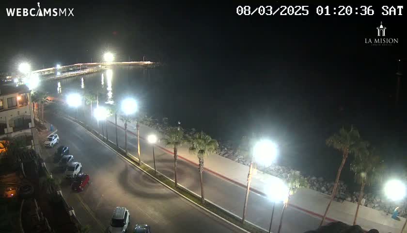 A nighttime view of a waterfront road with parked cars, palm trees lining the sidewalk, and a calm body of water beyond.
