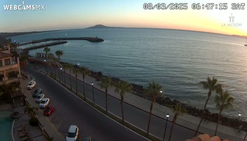 A coastal road lined with palm trees overlooks a calm ocean at sunset, with several cars parked along the roadside.