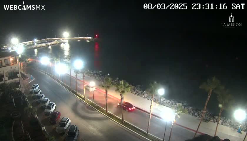 A nighttime coastal scene shows a roadway lined with palm trees and parked cars, next to a dark body of water with a pier in the distance under clear skies.