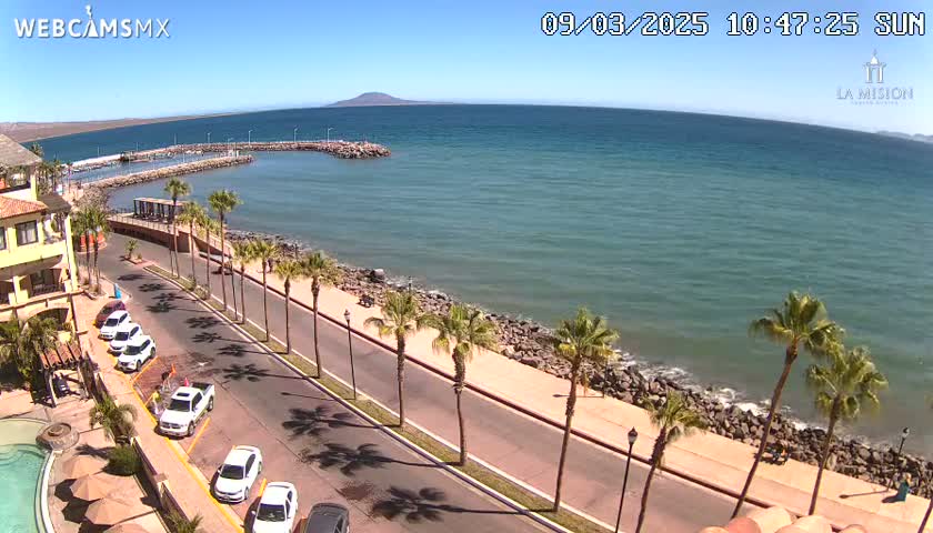 A sunny seaside scene shows a calm ocean, a paved road lined with palm trees next to a rocky shore, and several parked cars near a building.