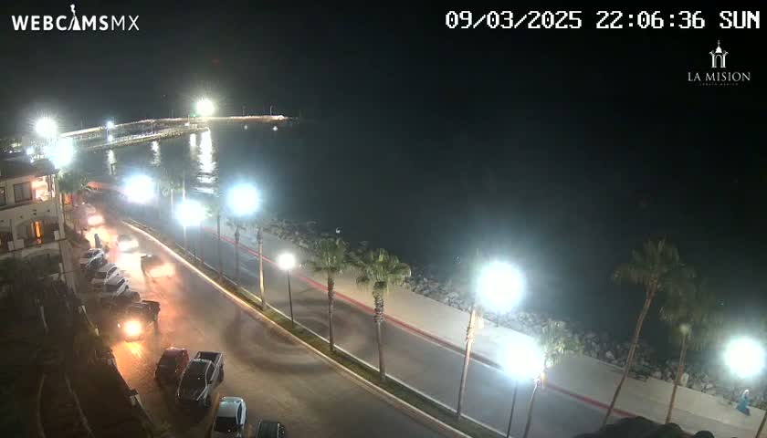 A nighttime coastal scene shows a road lined with palm trees and streetlights, with cars driving along it, next to a calm body of water with a pier in the distance.