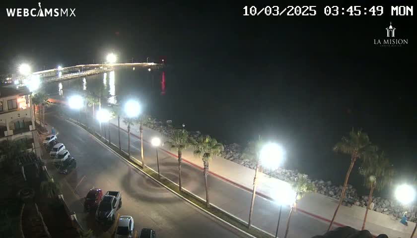 A nighttime, coastal scene shows a paved road lined with palm trees and parked cars next to a calm body of water with a pier in the distance, all under artificial lighting.