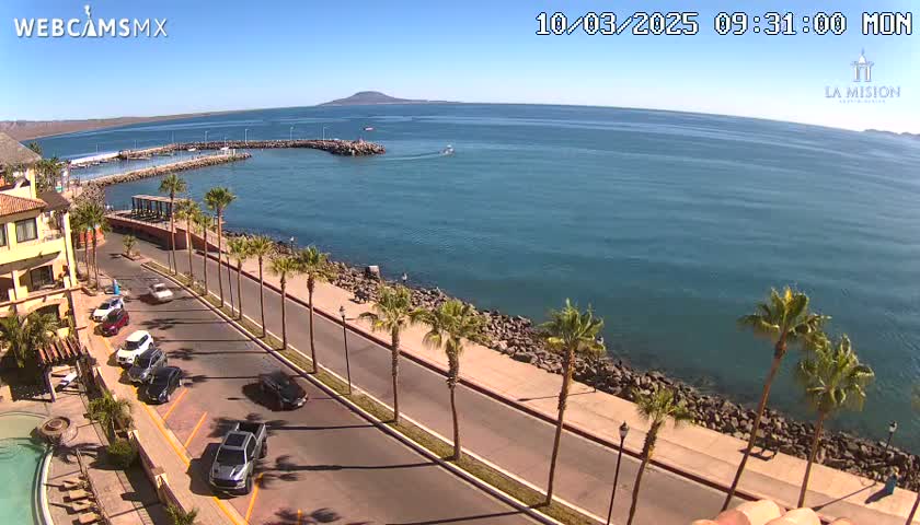 A seaside road lined with palm trees overlooks a calm, blue ocean on a sunny day, with cars parked along the roadside and a small town visible in the distance.