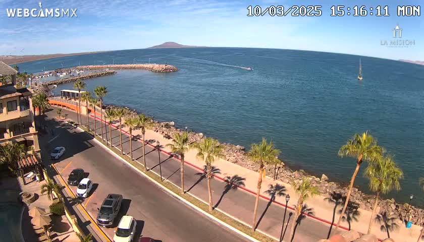 A coastal road lined with palm trees overlooks a calm bay with a small marina and distant mountains under a sunny sky.